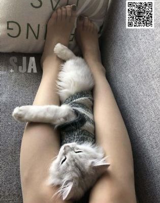 茶啊二中第5季在线观看完整版_1080P高清在线观看