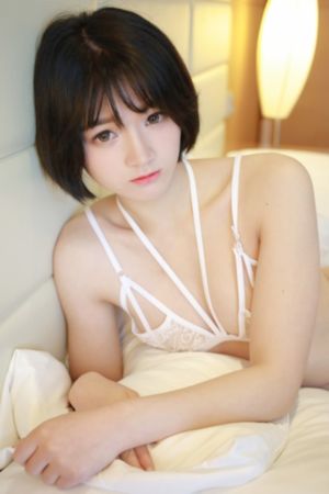 在线少妇做爰免费理伦电影_免费国语在线观看