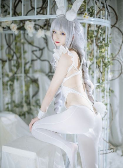 三叶草www在线观看高清_超清影视在线观看