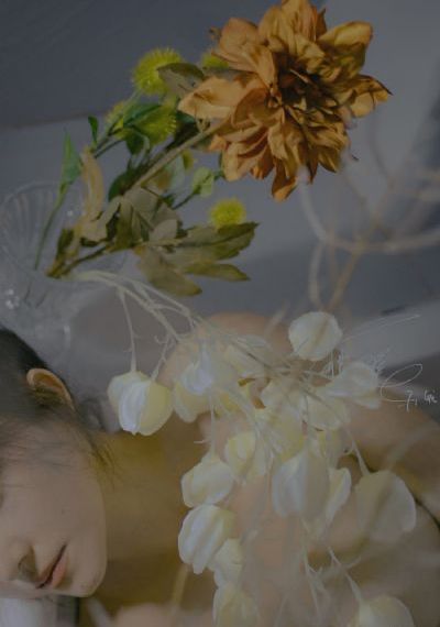 k8影视经典_4K在线手机播放