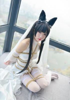探索者_1080P电影在线看