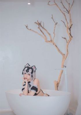 海鸥飞处彩云飞电视剧40集_高清电影观看